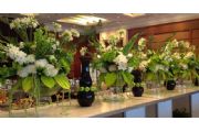 The Party Planner | Special event planning in Montreal | BLACK WHITE & GREEN | Event Planners based in Montreal & serving Montreal, Quebec & abroad offering Wedding event planning, corporate event planning, Bar Mitzvahs & more.